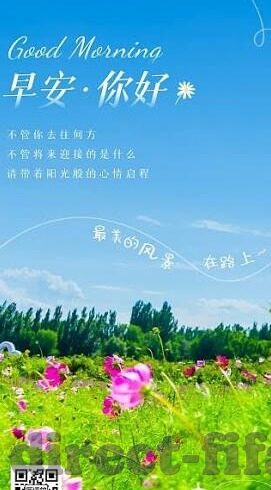 南非世界杯开普敦赛场-南非世界杯开普敦赛场，激情与梦想的舞台